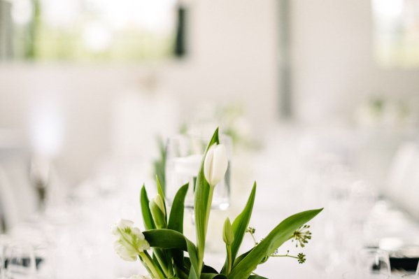 View More: http://welovepictures.pass.us/tim_eleni_wedding